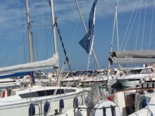 Delphia 34